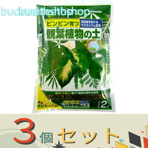 3ZbgijԂ@ϗtA̓y@2L@iԂj