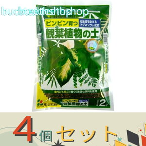 4ZbgijԂ@ϗtA̓y@2L@iԂj