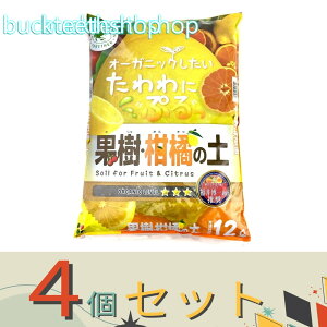 4ZbgijԂ@GET@ʎEk̓y@12L