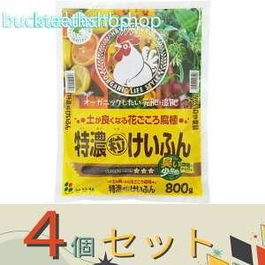 4ZbgijԂ@iGETj@Zӂ@800g