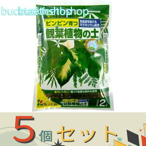 5ZbgijԂ@ϗtA̓y@2L@iԂj