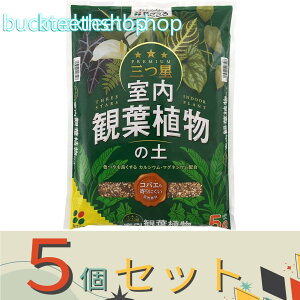 5ZbgijԂ@OϗtA̓y@5Ly8z207508