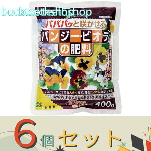 ��6�Z�b�g���i���j�Ԃ�����@�p���W�[�D�r�I���̔엿�@400g�@�i�Ԃ�����j