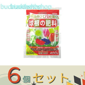 6ZbgijԂ@̔엿@400g@iԂj