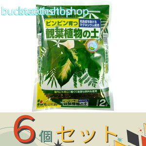 6ZbgijԂ@ϗtA̓y@2L@iԂj