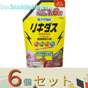 ��6�Z�b�g���n�C�|�l�b�N�X�W���p���@���L�_�X�G�R�p�b�N�@720ml