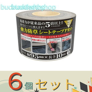 6Zbg{}^C@͖hV[ge[vPRO@95mm×10m@y15z4989156107299