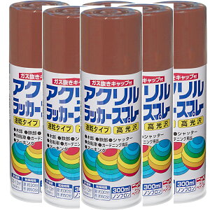 jbyz[v_Nc ANbJ[Xv[ 17 vC}[FiFj 300ML {yCg 6{Zbg