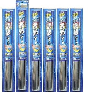 アサヒペン ガラス用遮熱シート 46CMX2M SG−2シルバー 6本セット