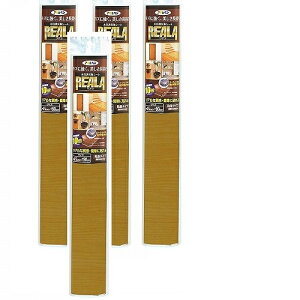 �A�T�q�y�� REALA 45X90CM RL�|24 4�{�Z�b�g