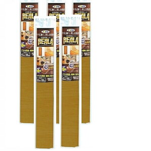 �A�T�q�y�� REALA 45X90CM RL�|24 5�{�Z�b�g