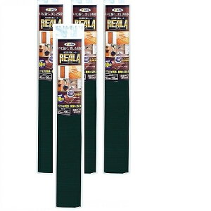 �A�T�q�y�� REALA 45X90CM RL�|26 4�{�Z�b�g