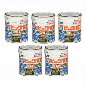 ATqy rbO10pr 1D6L 219~L[zCg 5ʃZbg