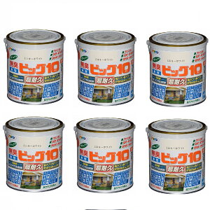 ATqy rbO10pr 0D7L 219~L[zCg 6ʃZbg