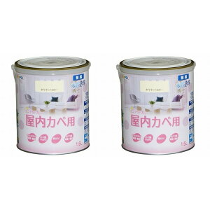 ATqy NEWCeAJ[Jx 1D6L zCgCG[yǎ̏ォ炻̂܂ܓhz 2ʃZbg