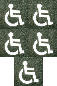 AgnEXyCg tATC ۃV{}[N i40cmx50cmj 5Zbg