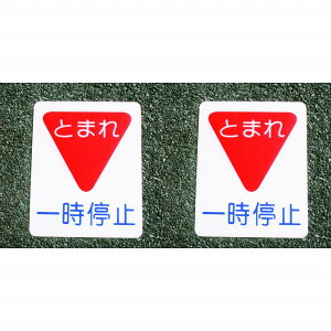 AgnEXyCg tATC ꎞ~ i40cmx50cmj 2Zbg