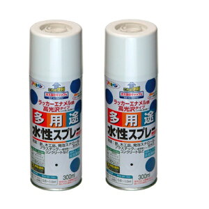 ATqy prXv[ 300ML gsJO[ 2ʃZbg