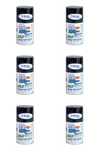 AgnEXyCg Xv[ 100ML  6ʃZbg