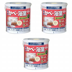 AgnEXyCg ׁEphiLׁj 1.6L zCgAC{[ 3ʃZbg