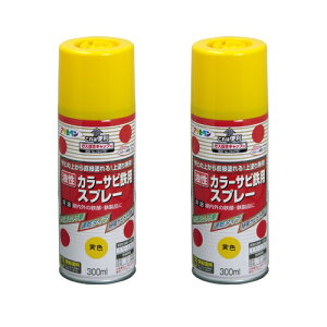 ATqy J[TrSpXv[ 300ML FyTȑォ炻̂܂ܓhz 2ʃZbg