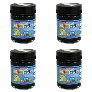 AgnEXyCg HpJ[ 25ML  4ʃZbg