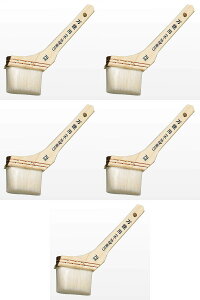 AgnEXyCg SP\p 70mm 5{Zbg