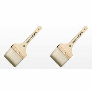 AgnEXyCg SP\p 80mm 2{Zbg