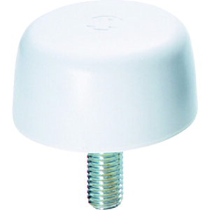 yyΉEzO@C[OX^[mu@Y@M8×15@@i11܁j