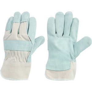 yyΉEzg@v܁@K|100izvj