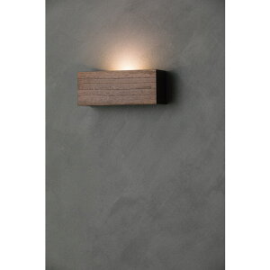 @LEDǊ|ߒ@hidamariiEHibgj