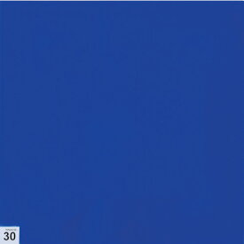 TRUSCO　エアーシャワー用粘着シート（穴なし）　300X300　30枚　中粘度　青