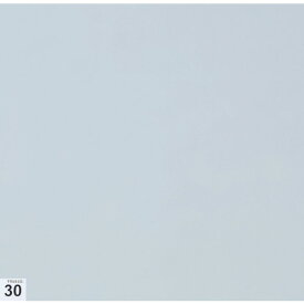 TRUSCO　エアーシャワー用粘着シート（穴なし）　300X300　30枚　高粘度　白