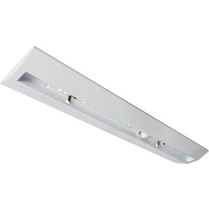 �z�^���N�X�@LED��̌^�x�[�X�Ɩ��@40�`�t�x�m�^�C�v230mm���@�{��