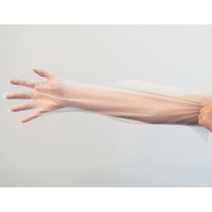 �|�Ձ@�g���̂Ď�܁@�s�������C�v�����O�@S�@50����