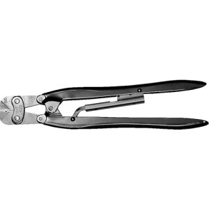 JST@[q^X[up蓮Hi[qĂс^0D5pj