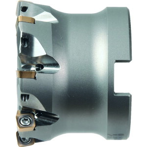 MOLDINO�@�A���t�@������4�R�[�i�~�jASRFB3050R�|7