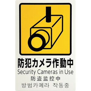 ���@������h�ƃT�C���@�h�ƃJ�����쓮��