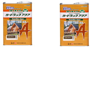 aMyCg K[hbN ANA A|10 uE 3.5kg 2ʃZbg