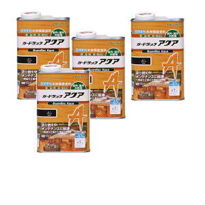 aMyCg K[hbN ANA A|1 ubN 0.7kg 4ʃZbg