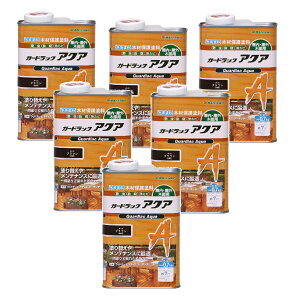 aMyCg K[hbN ANA A|10 uE 0.7kg 6ʃZbg