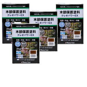 aMyCg NIp[EX EHibg 3.0kg 4ʃZbg