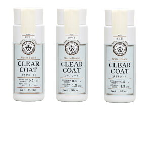 aMyCg NAR[g CC|01 zCg 90ml 3ʃZbg