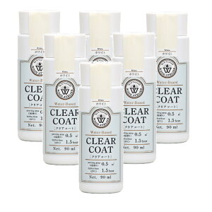 aMyCg NAR[g CC|01 zCg 90ml 6ʃZbg