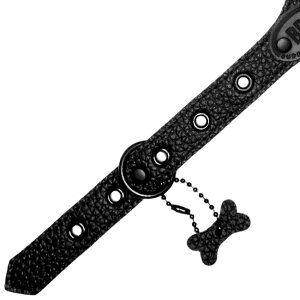 ofB[xg n[lX ubNiCg BLACK KNIGHT OWA[RNV bt BBn[lX BUDDYBELTS ybg pn[lX  U[ {v ofBxg KA㗝X ̎