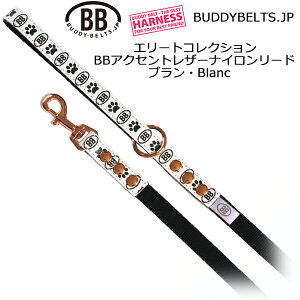 BBANZgU[iC[h u Blanc G[gRNV ofB[xg BUDDYBELTS ybg ofBxg KA㗝X