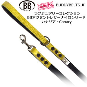 BBANZgU[iC[h JiA Canary OWA[RNV ofB[xg BUDDYBELTS ybg ofBxg KA㗝X