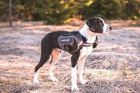 ［送料無料］取り付け可能なバックパック　EZY　DOG　イージードッグ　サドルバッグ　Lサイズ　【犬/バッグ/アウトドア】
