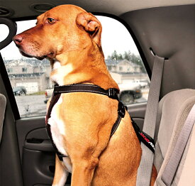 ［メール便対応可］[愛犬を安全にドライブに]　EZY　DOG　イージードッグ　カーシートアタッチメント【犬　車　ドライブ　シートベルト】