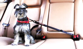 ［メール便対応可］愛犬を安全にドライブに　EZY　DOG　イージードッグ　クリック　【犬/車/ドライブ/シートベルト】